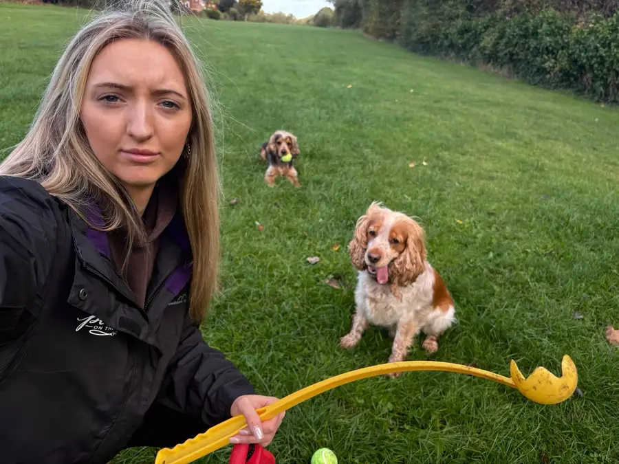 Abby smiling on a walk in the park with two dogs